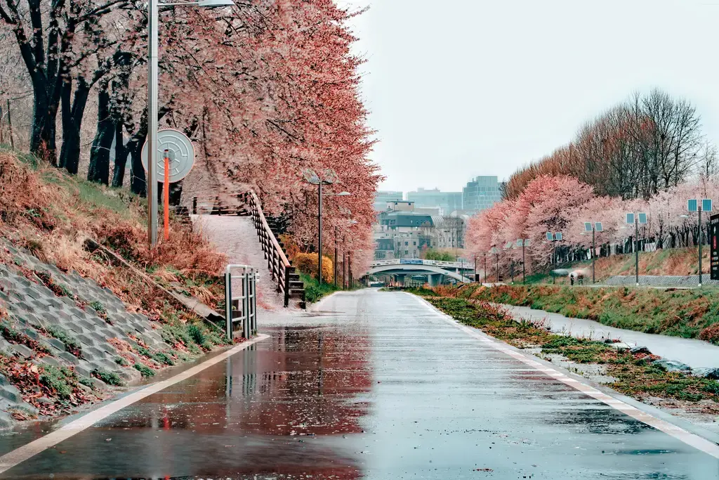 來去濟州島變身歐巴歐膩！帶你玩遍韓國小馬爾地夫