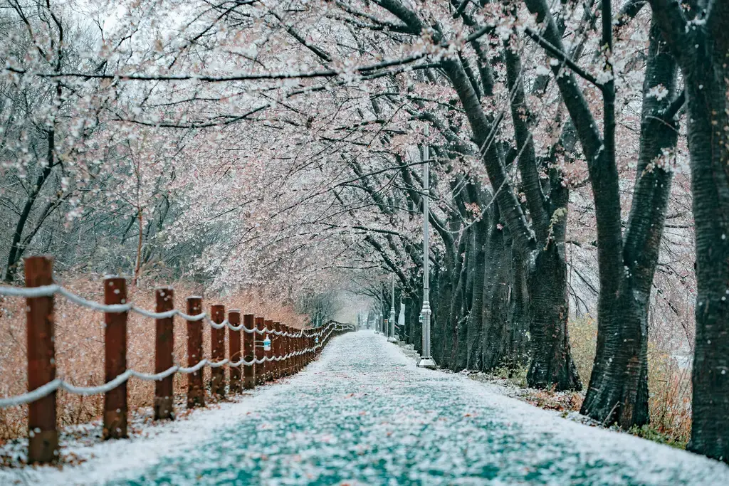 台灣人也愛的韓國水上樂園大本營