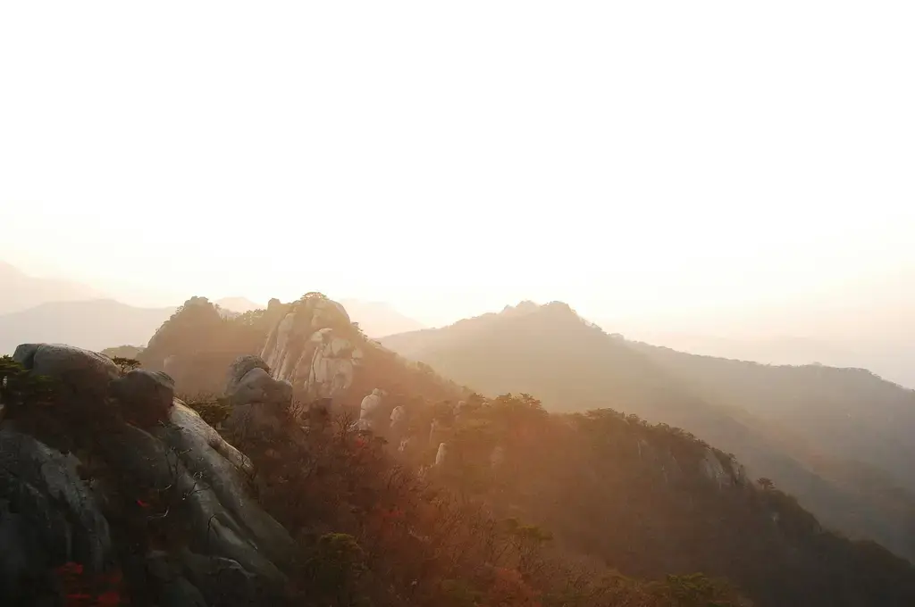 韓國遊玩全攻略：台灣人的韓國旅行指南