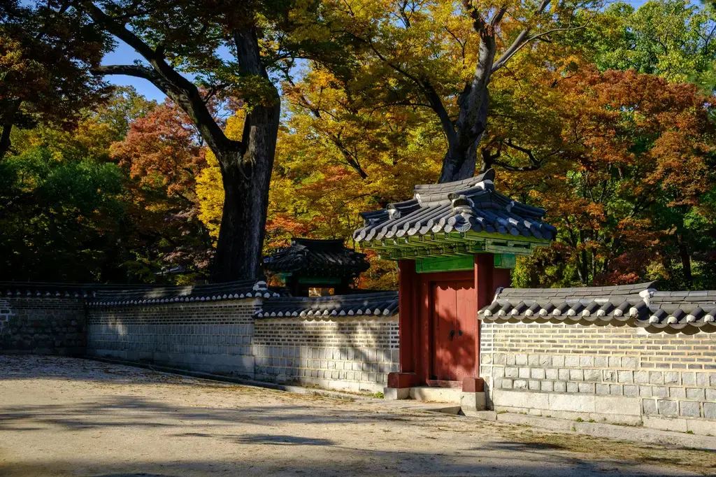 穿梭時空，體驗釜山傳統魅力：韓屋住宿指南