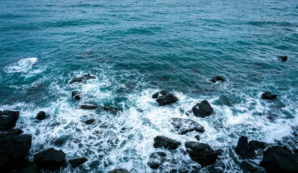 南怡島，台灣人遊韓國必去打卡勝地